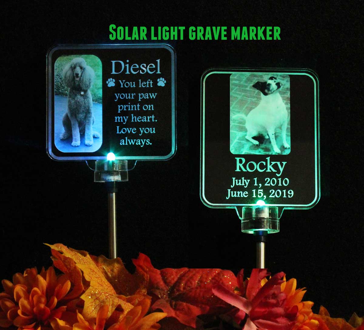 Personalized Animal Photo Grave Marker Solar light, Garden Light, Grave memorialht