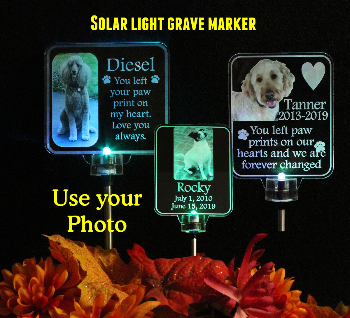 Animal Photo Solar light Personalized  Grave Marker, Garden Light