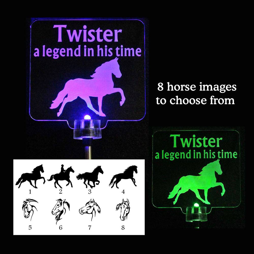 Personalized Horse Solar Light