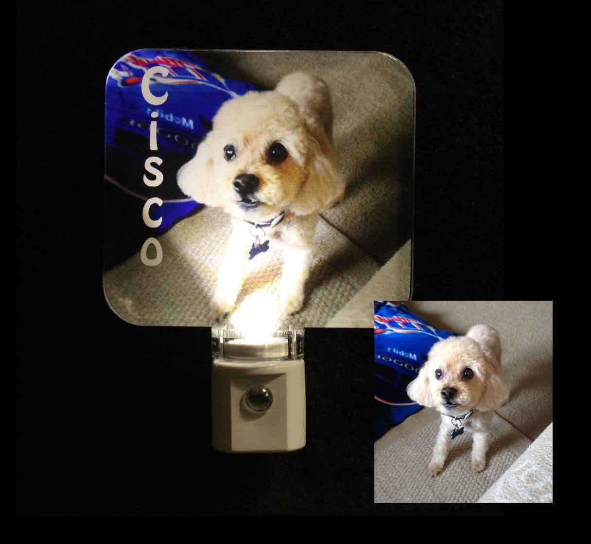 Full Color Personalized Animal Photo Night Light