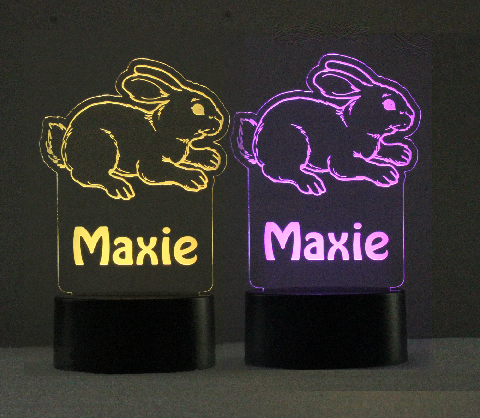 Personalized Bunny rabbit Night Light - USB - 110V - Battery