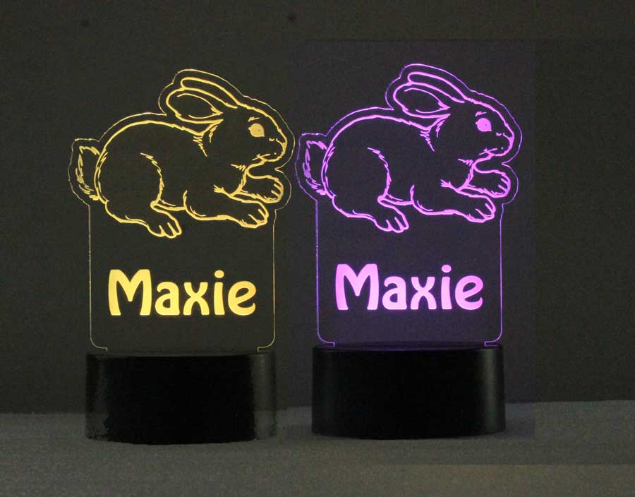Custom Engraved Bunny rabbit Night Light - USB - 110V - Battery