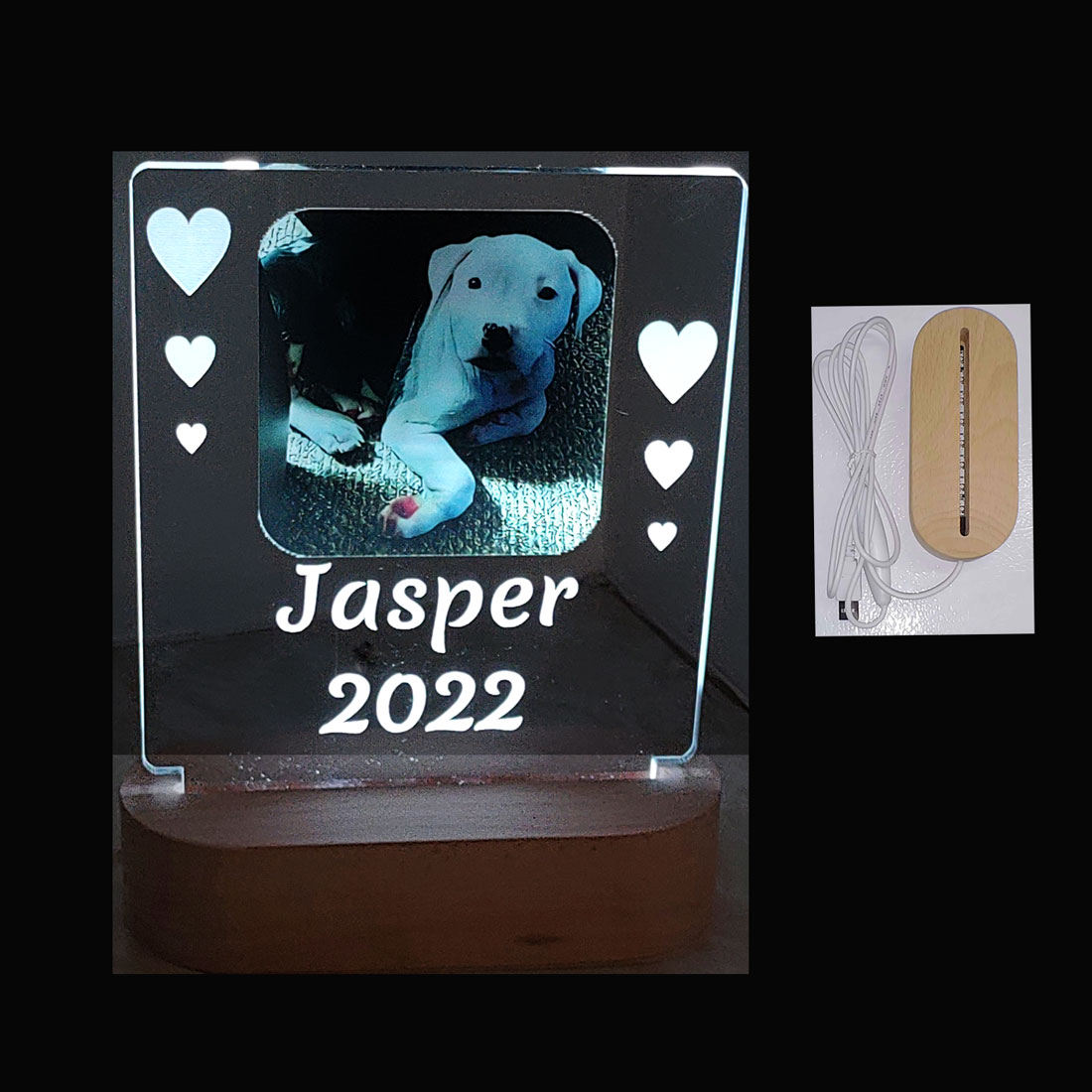 Custom Personalized Sympathy Gift, Pet Memorial with photo