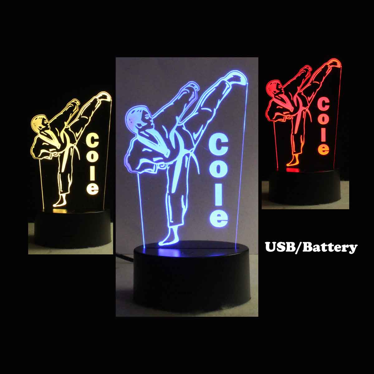 Karate Personalized USB/110V/240V battery operated Table Top night light